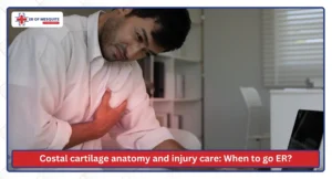 Costal cartilage anatomy and injury care When to go